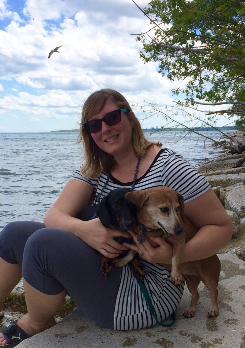 Our Staff Harwood Veterinary Hospital